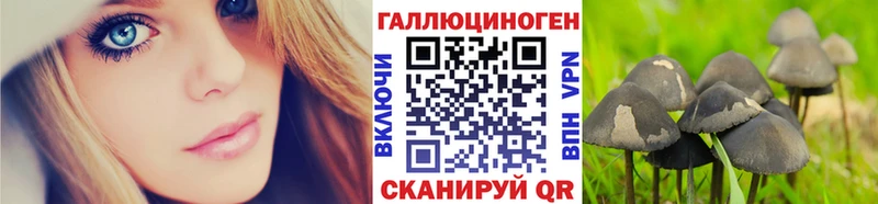 Псилоцибиновые грибы прущие грибы Камень-на-Оби