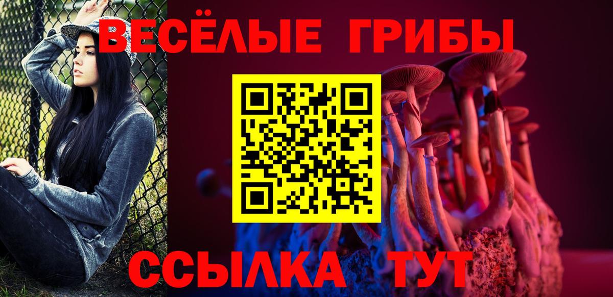 Камень-на-Оби  Псилоцибиновые грибы Magic Shrooms  Вход с VPN 