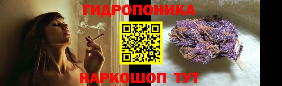 Каннабис Amnesia  Вход с VPN  Камень-на-Оби  Конопля сатива 